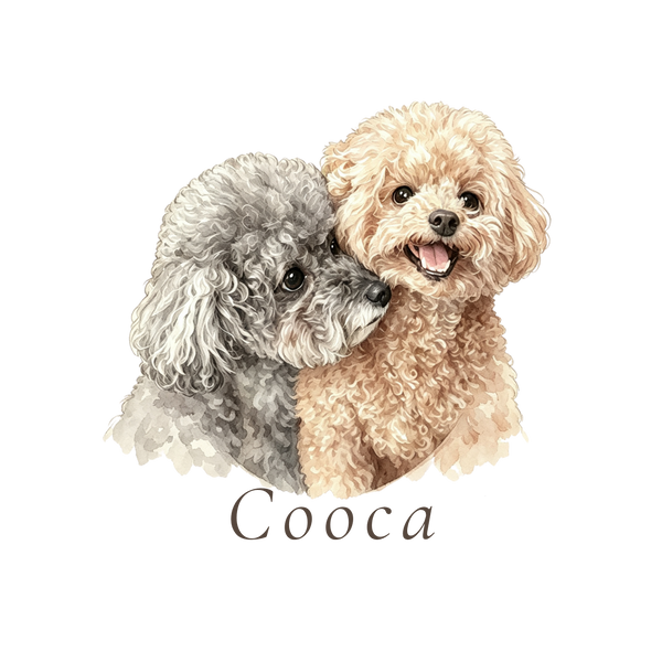 Cooca